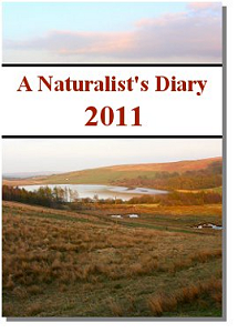 Wildlife-Films Naturalist's Diary of British Wildlife DVD