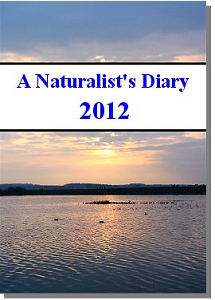 Wildlife-Films Naturalist's Diary of British Wildlife DVD