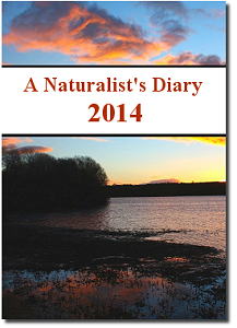 Wildlife-Films Naturalist's Diary of British Wildlife DVD