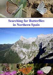 A DVD film Searching for Butterflies in Northern Spain